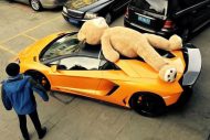 Did TED finally get his pay? Ted on a Lambo from DMC