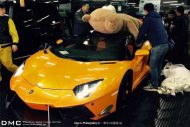 Did TED finally get his pay? Ted on a Lambo from DMC