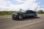 2015 Roush Performance Ford Mustang GT VPS 302 5 190x127