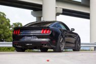 2015 Roush Performance Ford Mustang GT VPS 302 7 190x127