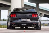 2015 Roush Performance Ford Mustang GT VPS 302 8 190x127