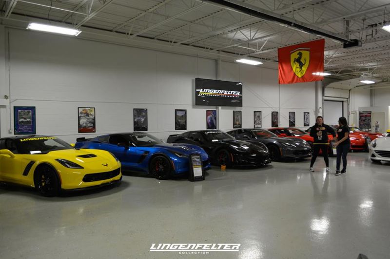 Lingenfelter Collection 2015 1