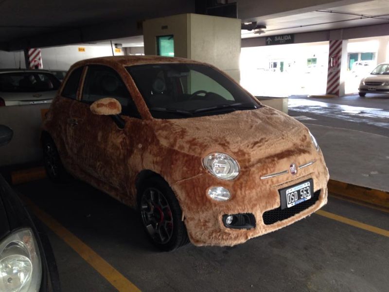 Fiat 500 Wrapped In Fur Spotted In Argentina 1