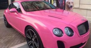 Bentley China Pink 0 660x557 1 310x165