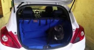 hatchbag kofferraumschutz opel c 310x165 Hatchbag Kofferraumschutz   Einbauanleitung Opel Corsa