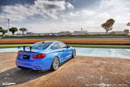 More is always possible - EPD Motorsports BMW F82 M4 RZP