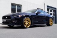 Ford Mustang GT 5.0 HRE FF01 Cartech.ch Tuning 4 190x127