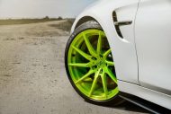 Visible - BMW M4 F82 on bright green road Wheels Alu's