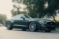 Sottile: Ford Mustang GT del City Performance Center