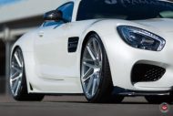Tłuszcz - Mercedes-Benz AMG GTs z Hamana z Japonii