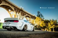 Alphamale Performance Widebody Ford Mustang GT 1 190x127