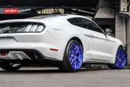 Obvious - HRE RTR Tech 7 Alu's at the Permaisuri Ford Mustang