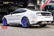 Obvious - HRE RTR Tech 7 Alu's at the Permaisuri Ford Mustang
