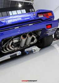 Lamborghini Countach 25th Anniversary mit Kreissig Sportauspuff