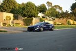 FiberglassMafia Widebody-Kit &#038; 6GR Alu’s am Ford Mustang GT