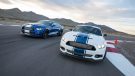 2017 Shelby Super Snake 50th Anniversary Edition 1 1 135x76 Video: 2017 Shelby Super Snake 50th Anniversary Edition
