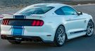 2017 Shelby Super Snake 50th Anniversary Edition 4 135x72 Video: 2017 Shelby Super Snake 50th Anniversary Edition