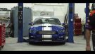 2017 Shelby Super Snake 50th Anniversary Edition 66 135x76 Video: 2017 Shelby Super Snake 50th Anniversary Edition