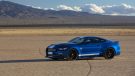 2017 Shelby Super Snake 50th Anniversary Edition 8 135x76 Video: 2017 Shelby Super Snake 50th Anniversary Edition