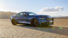2017 Shelby Super Snake 50th Anniversary Edition 9 135x76 Video: 2017 Shelby Super Snake 50th Anniversary Edition