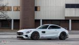 Mercedes Benz AMG GTS “Ghost” van Auto Art uit Illionois