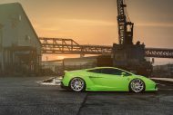The Bullfrog Lamborghini Gallardo trägt Troppo-ECL Alu’s