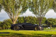 NERO NEMESIS Lamborghini Aventador Savini Wheels Tuning 2017 1016 Industries 9 190x127