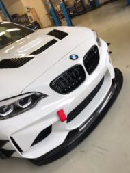 BMW M2-GTR Tracktool? Umożliwia to wydajność TPS