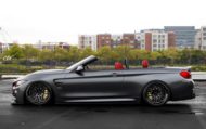Sautief - Elite Design Concept (EDC) BMW M4 F83 Cabrio