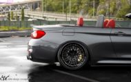 Sautief - Concept de design Elite (EDC) BMW M4 F83 Décapotable