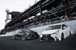 Aimgain umożliwia - Lexusgrill na Toyota Prius