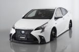 Aimgain makes it possible - Lexusgrill on Toyota Prius