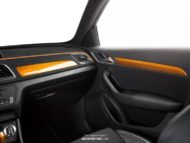 "THE COPPER PROJECT" - envy factor refines the Audi Q3