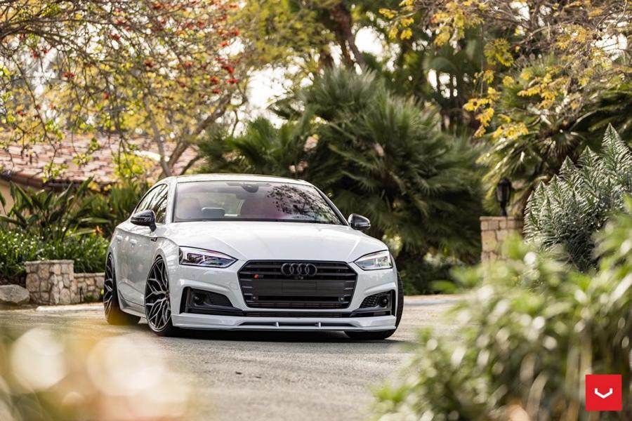 Dream in White - Audi S5 (B9) Sportback by TAG Motorsports