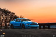 Shelby Ford Mustang GT500 CCW Felgen Tuning 12 190x125 Fotostory: Shelby Ford Mustang GT500 auf CCW Felgen