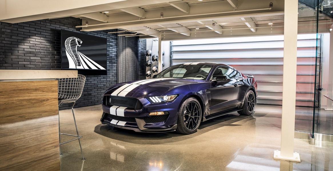 Etwas GT500 Optik &#8211; 2019 Ford Mustang Shelby GT350