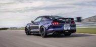 GT500 Optik Tuning 2019 Ford Mustang Shelby GT350 2019 5 190x94 Etwas GT500 Optik   2019 Ford Mustang Shelby GT350