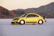 VW Beetle LSR Tuning Rekord 5 190x127