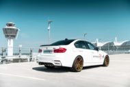 Clearly: 560 PS BMW M3 GTS + by Wetterauer Performance