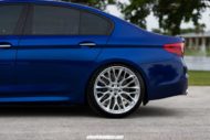 Discreto: BMW M5 F90 a Marina Bay Blue su cerchi HRE