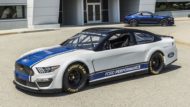 Fat: Ford Mustang NASCAR for the 2019 Cup season