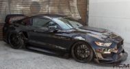 SigalaHCM Widebody GT350RR Shelby Ford Mustang GT 9 190x102 Sigala/HCM Widebody GT350RR Shelby Ford Mustang GT