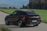 Officiel: «Ligne de compétition DÄHLer» BMW X4 (G02) 2019