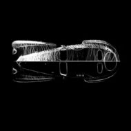2019 Bugatti La Voiture Noire Genf Chiron 12 190x190