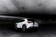 The Way Of The Samurai Lexus UX Art Car René Turrek Tuning 6 190x127