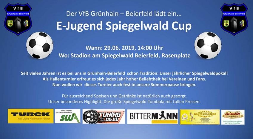 2019 Sommercup &#8211; E-Jugend VFB Grünhain Beierfeld
