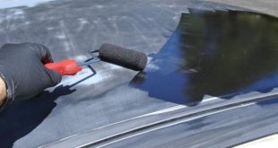 Auto Rolle Pinsel lackieren Tuning 1 e1560855485639 310x165 Quick Shifter für Go Karts   Weiches Fahrgefühl für harte Rennen