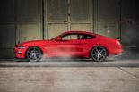 Niveau Supersport: Wolf Racing 735 PS Ford Mustang GT