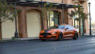 Limited: 836 HP Shelby Bold Edition Super Snake 2020