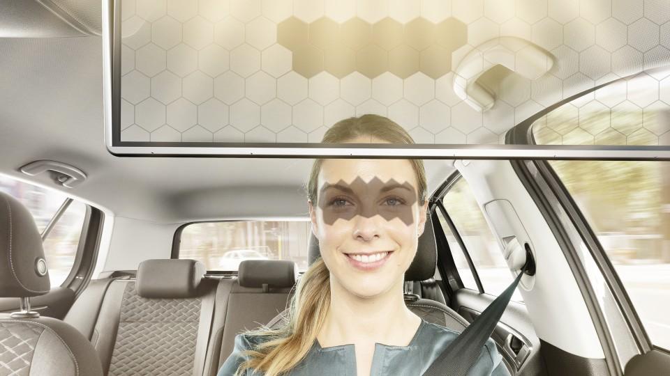 Arrive more safely - digital transparent sun visor